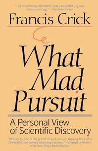 ���絵�� What Mad Pursuit