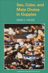 ���絵�� Sex, Color, and Mate Choice in Guppies