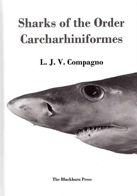 ���絵�� Sharks of the Order Carcharhiniformes