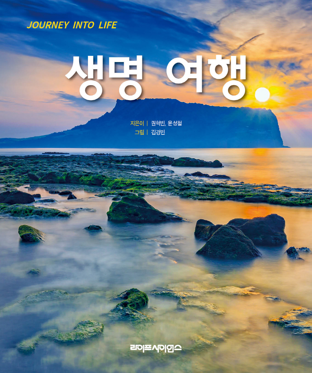 ���� ����