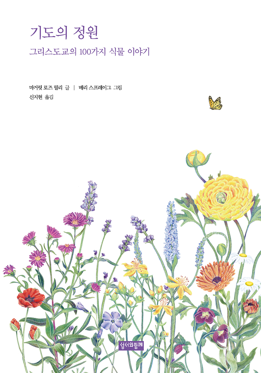 �⵵�� ����