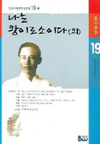 ���� ���̷μ��̴�(��)