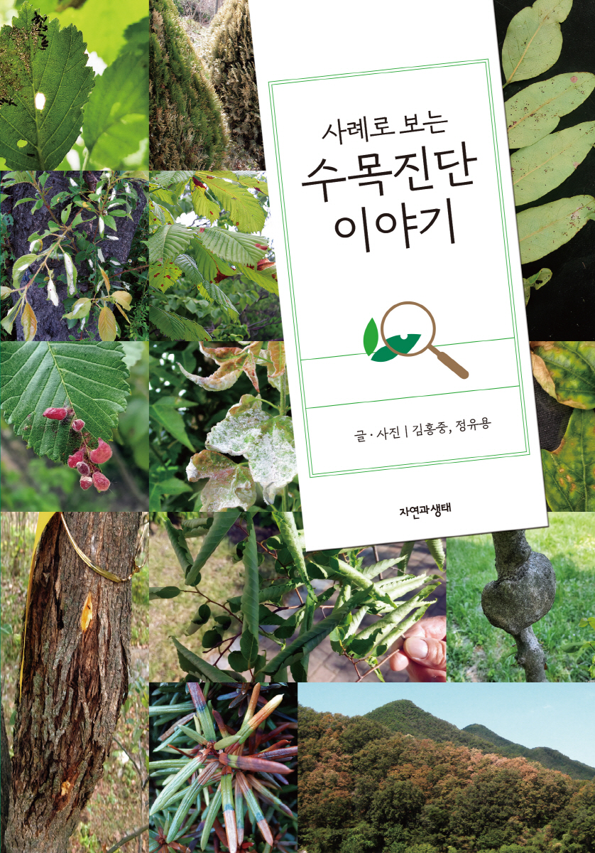 �������� �̾߱�