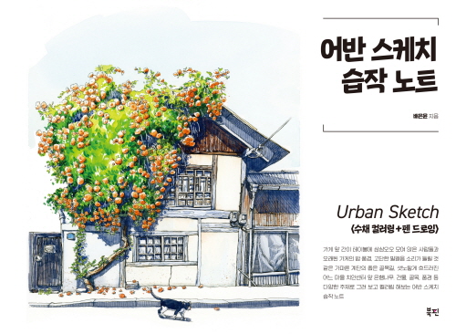 ��� ����ġ ���� ��Ʈ (������) - ��ä �÷��� + �� �����