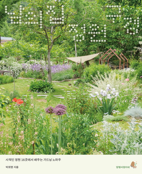 ���� �� ���� ����