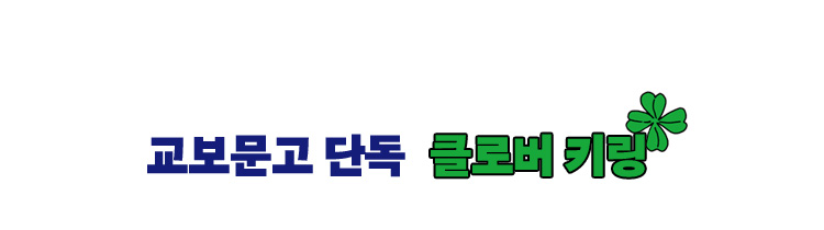 교보문고 단독 클로버 키링