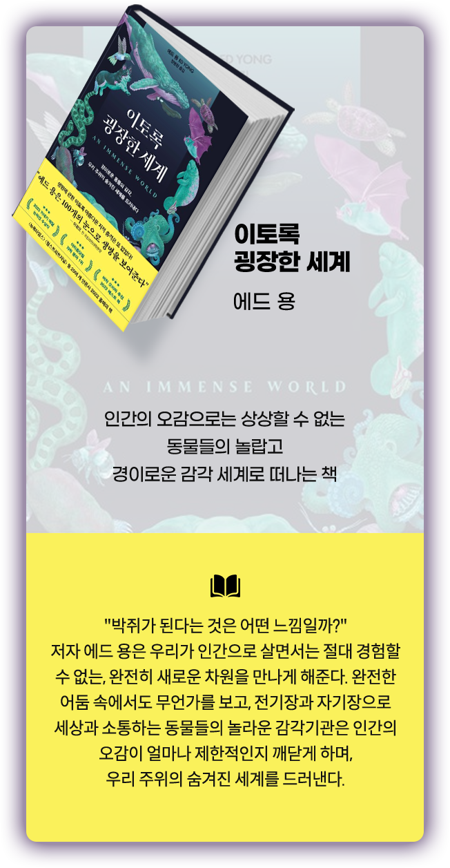 이토록 굉장한 세계