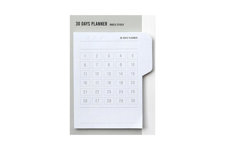 30일 플래너 인덱스 스티키