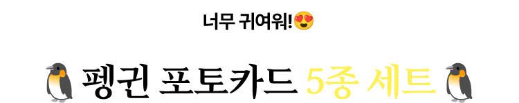 너무 귀여워! 🐧펭귄 포토카드 5종 세트🐧