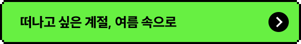 떠나고 싶은 계절, 여름 속으로