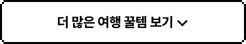 더 많은 여행 꿀템 보기 ▼