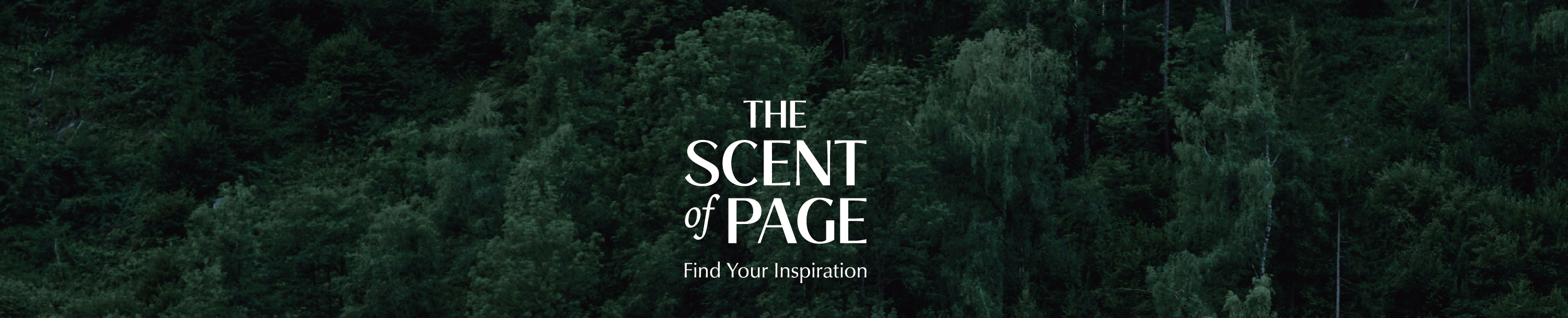 THE SCENT of PAGE | Find Your Inspiration