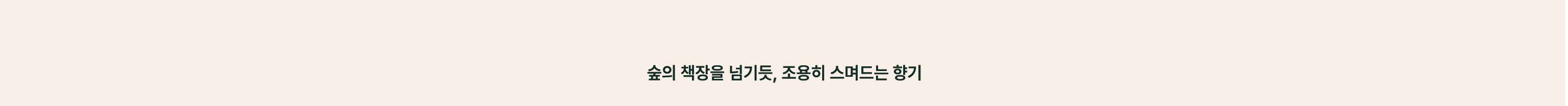 숲의 책장을 넘기듯, 조용히 스며드는 향기