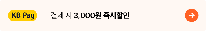 KB페이 결제 시 3,000원 즉시할인