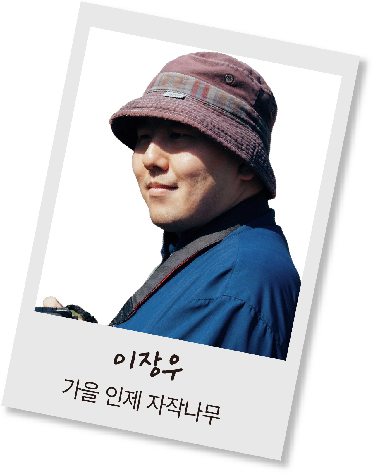 이장우 | 가을 인제 자작나무