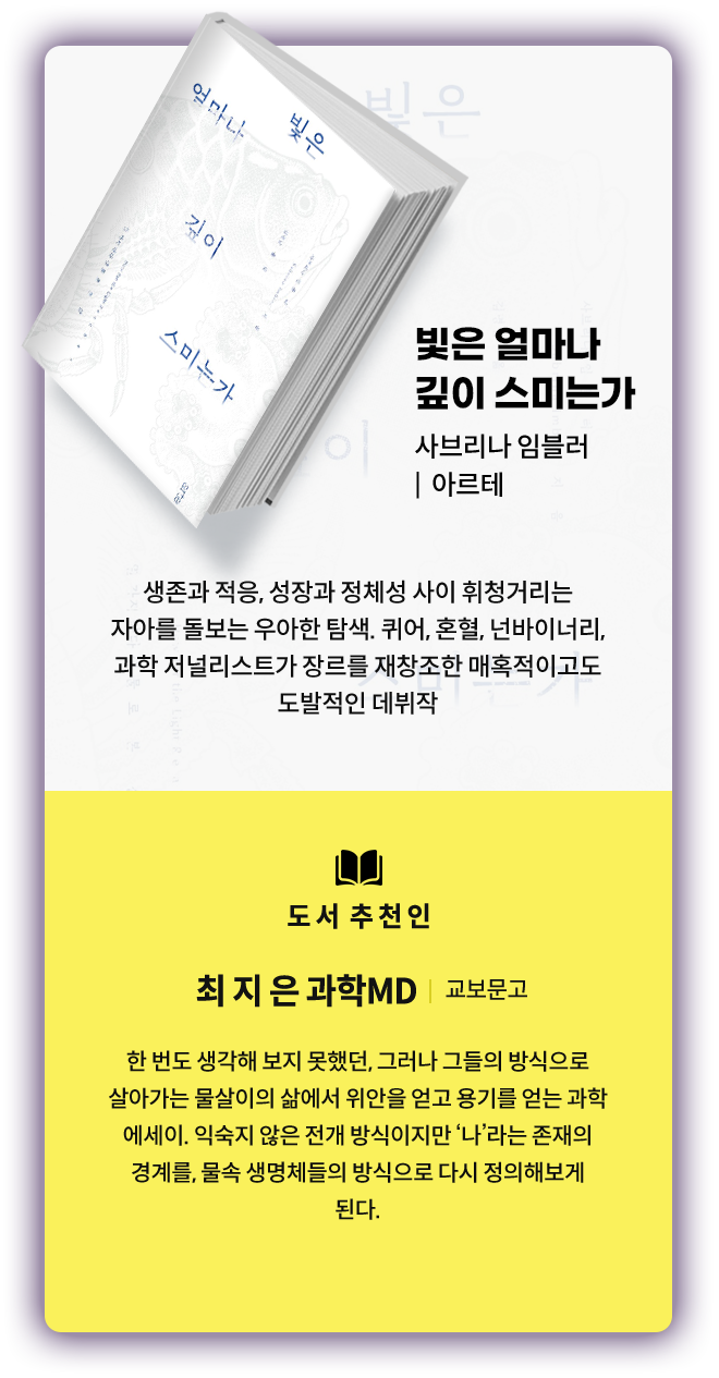 빛은 얼마나 깊이 스미는가 (사브리나 임블러, 아르테)
