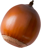 deco