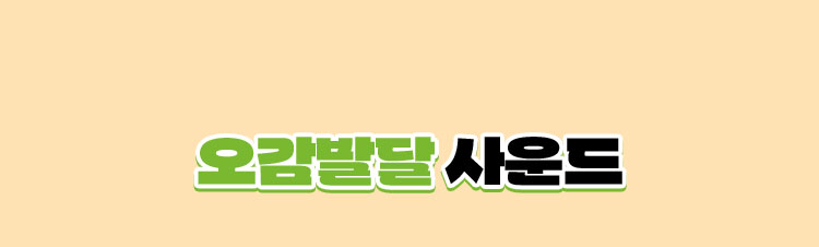 오감발달 사운드