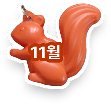 11월