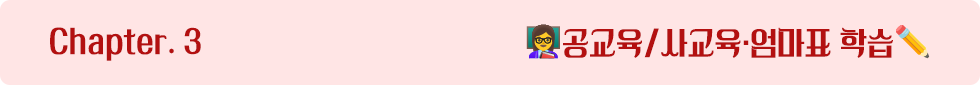 Chapter 3. 공교육/사교육·엄마표 학습