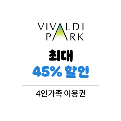 비발디파크 최대 45%할인 4인가족 이용권