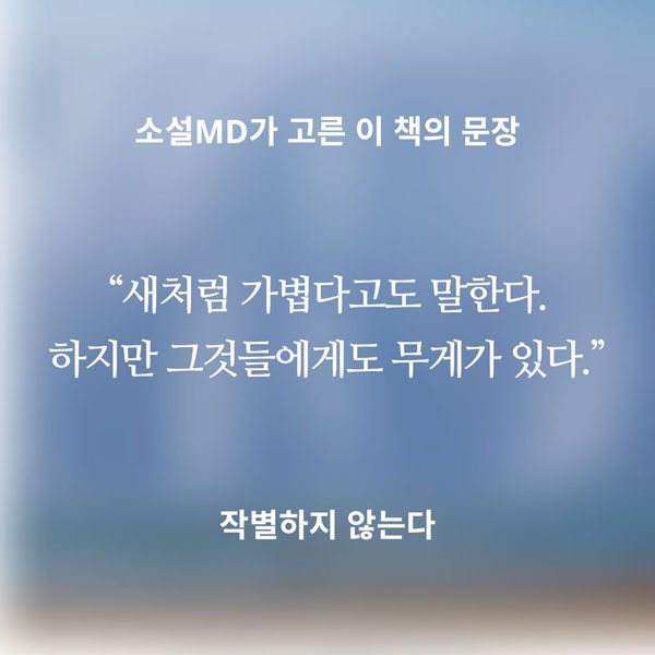 소설MD가 고른 이 책의 문장 : 새처럼 가볍다고도 말한다. 하지만 그것들에게도 무게가 있다.