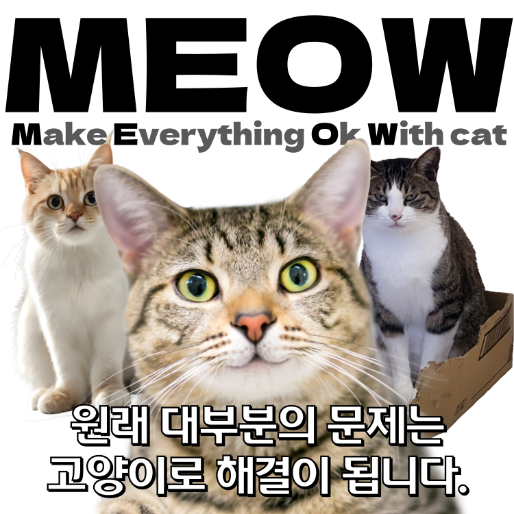 비주얼이미지