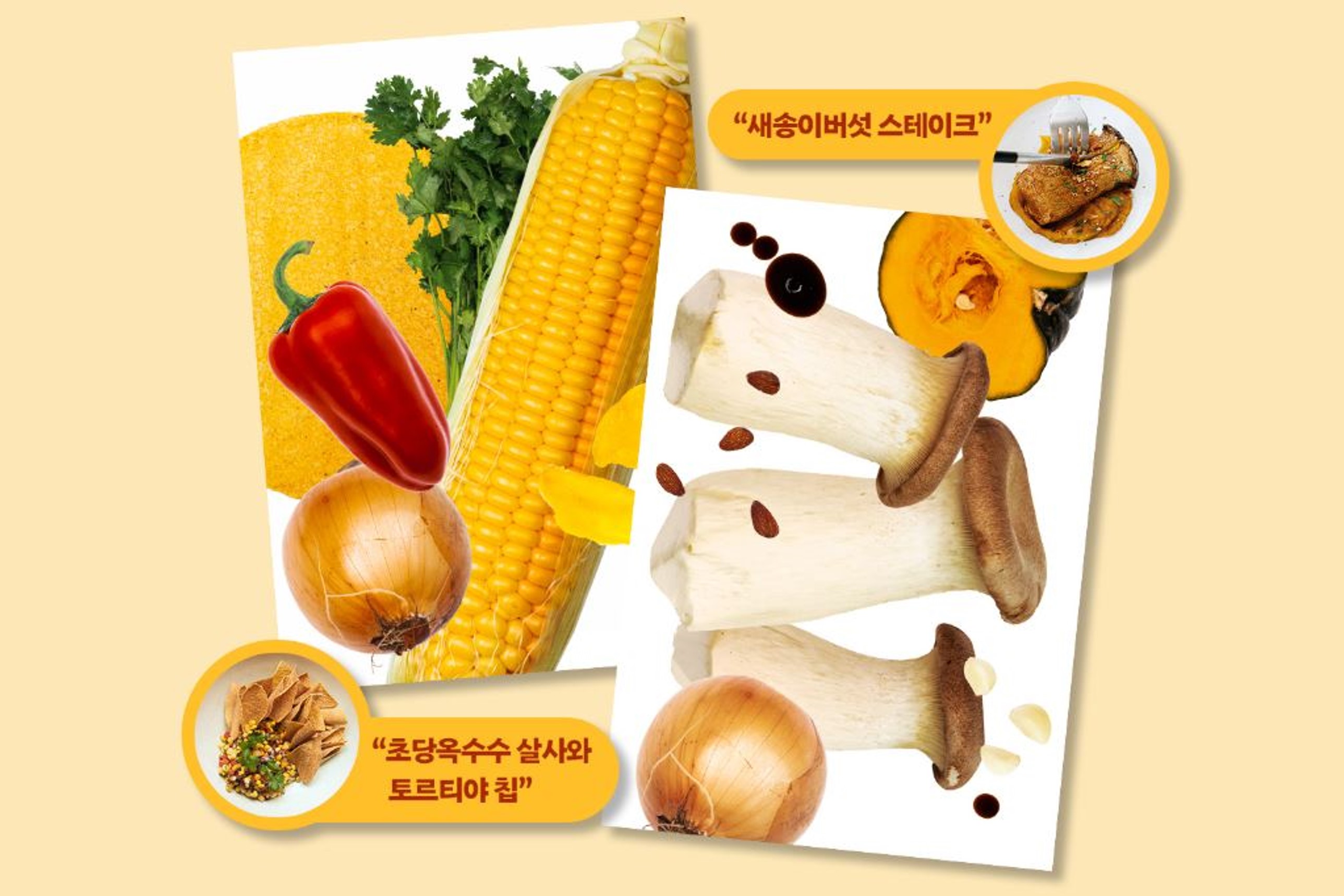 사은품 이미지
