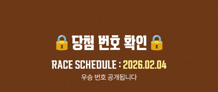 당첨 번호 확인