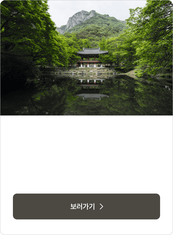 공양간의 셰프들