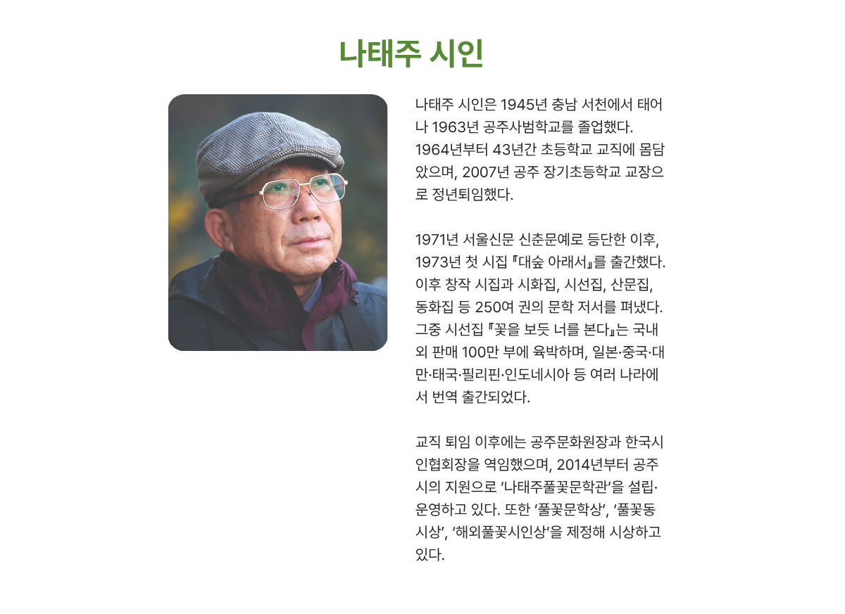 나태주 시인 설명