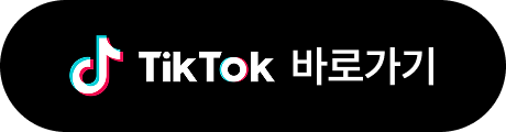 TikTok 바로가기