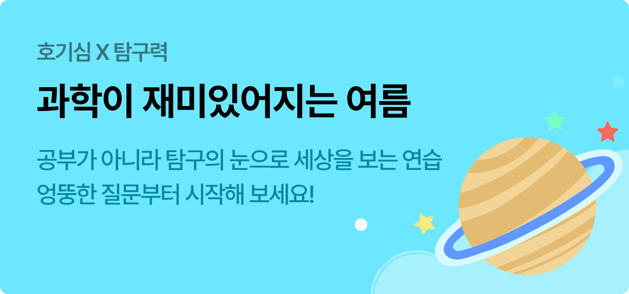 호기심 X 탐구력 | 과학이 재미있어지는 여름 | 공부가 아니라 탐구의 눈으로 세상을 보는 연습 엉뚱한 질문부터 시작해 보세요!