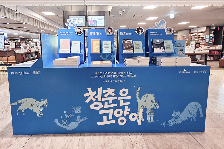 청춘은 고양이