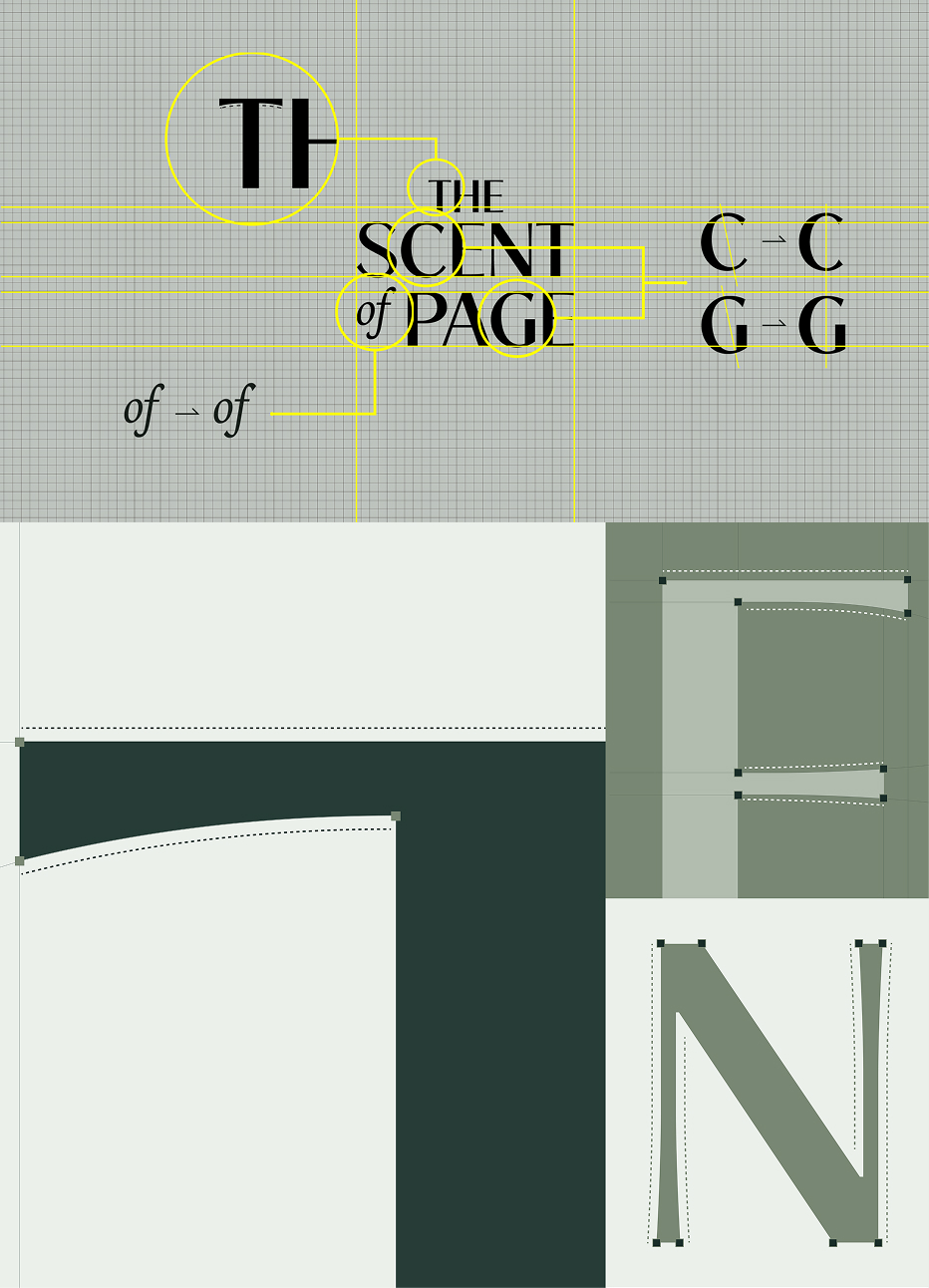 Brand Identity