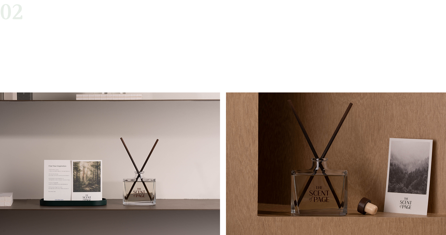 02 디퓨저 200ML | 어디든 숲을 이룰 수 있도록 은은하게 퍼지는 책향