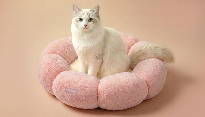 더 오래도록, 늘 행복하게