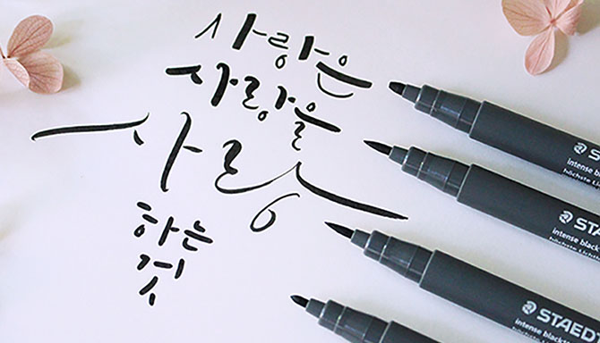 ★ 영감을 기록하는 STAEDTLER ★