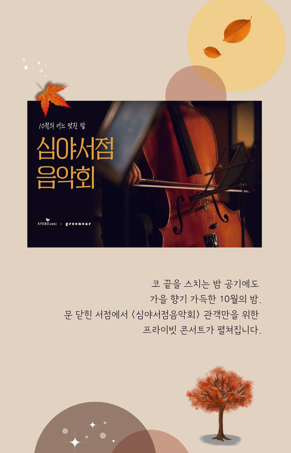 10월의 어느 멋진 밤 심야서점음악회 | 코 끝을 스치는 밤 공기에도 가을 향기 가득한 10월의 밤. 문 닫힌 서점에서 심야서점음악회 관객만을 위한 프라이빗 콘서트가 펼쳐집니다.