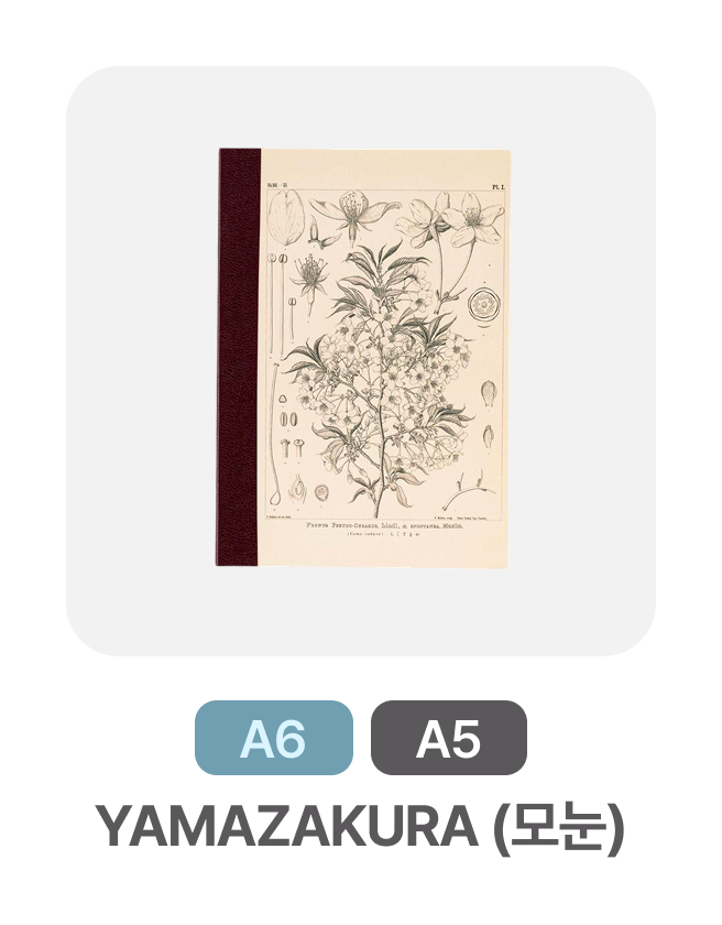 A6, A5 | YAMAZAKURA (모눈)