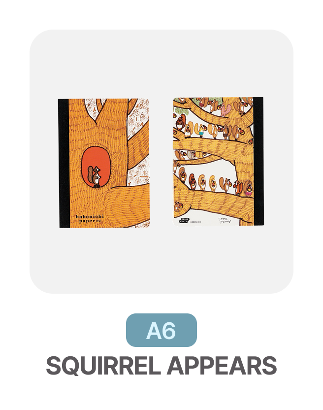 A6 | SQUIRREL APPEARS