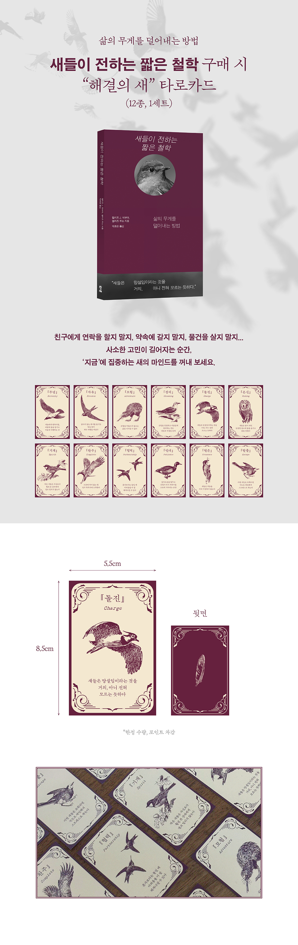 삶의 무게를 덜어내는 방법! 『새들이 전하는 짧은 철학』 출간 기념 이벤트