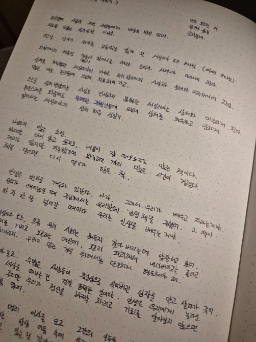 독자 답장 이미지