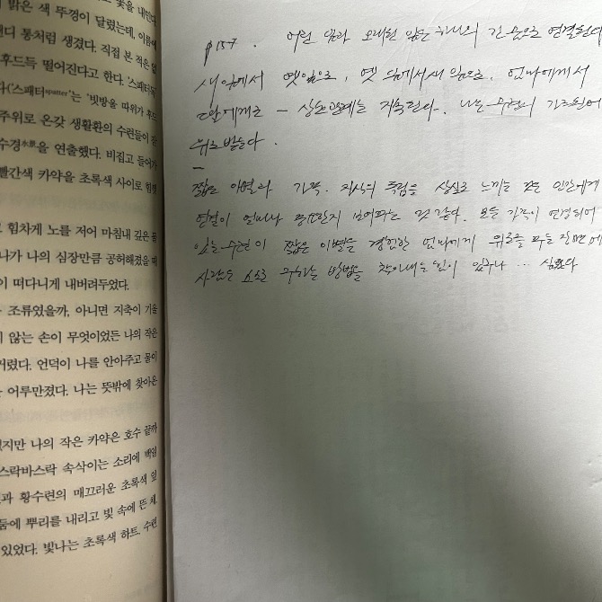 독자 답장 이미지