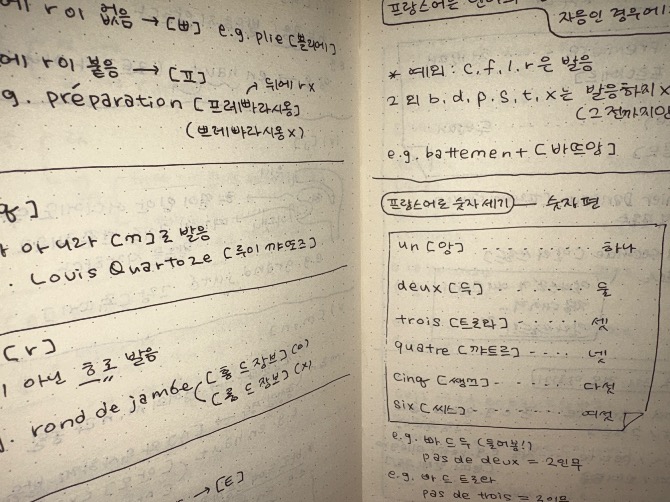 독자 답장 이미지