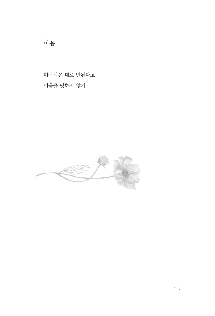 16페이지