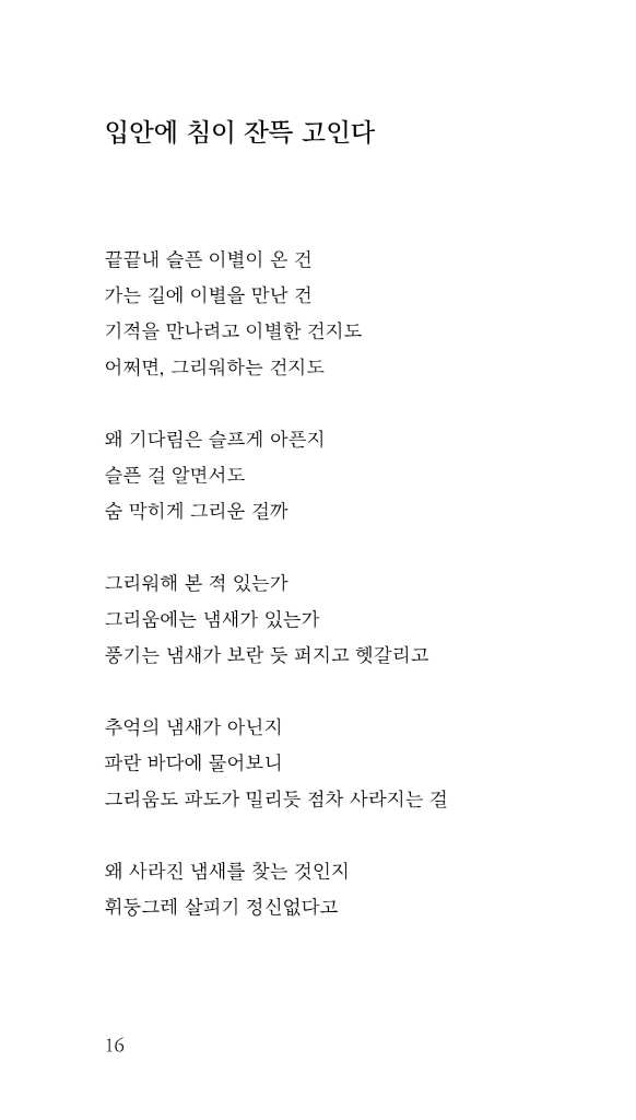 17페이지