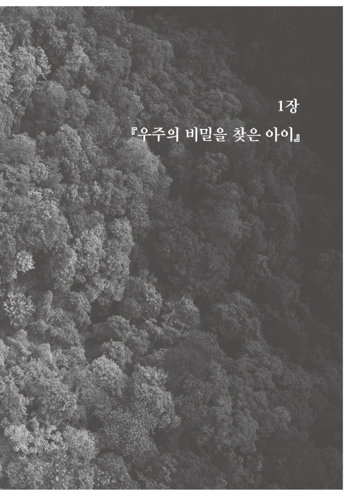 20페이지