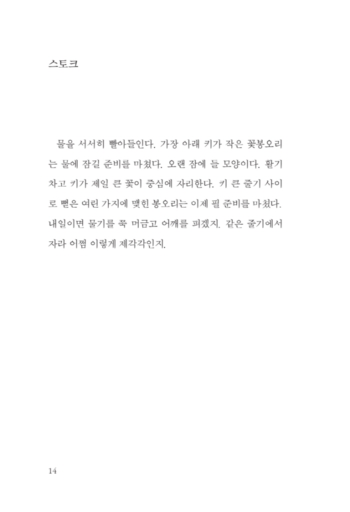 15페이지