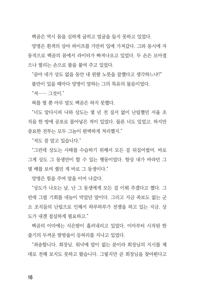17페이지